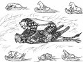 LionessLeopard2.jpg